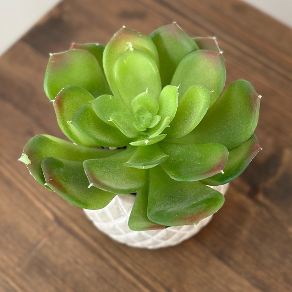 Artificial faux succulent in ceramic pot - Picture 2 of 6
